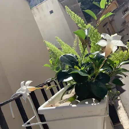 בית הארחה Il Canale Design House רגוזה